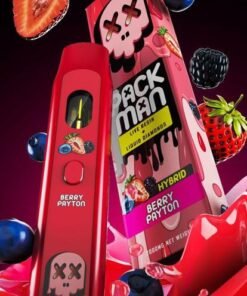 Packman Disposable Berry Payton(Hybrid) - PACKMAN